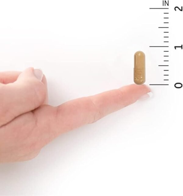 100 Billion CFU Probiotic - Image 4
