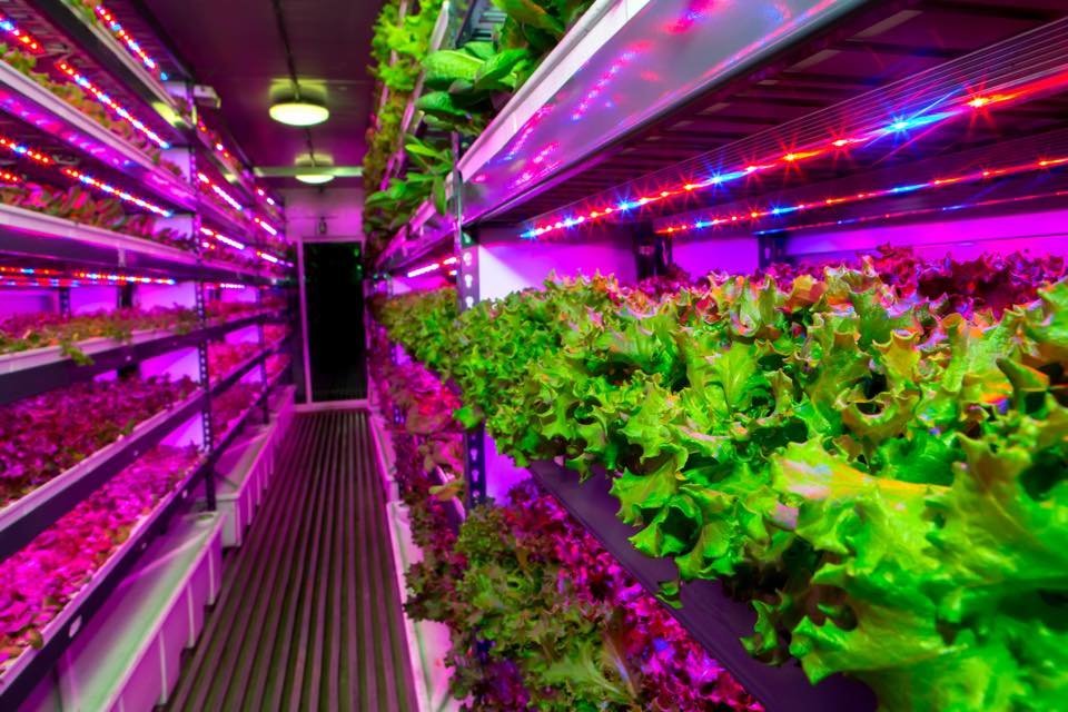 Beekeeping Equipment, Large-Scale Vertical Gardening Systems, Hydroponic Farming Kits