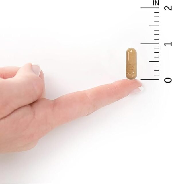 Probiotic for Men - Image 2