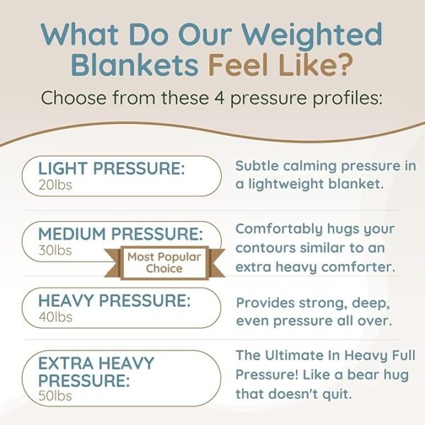 HomeSmart King Size Weighted Blanket - Premium Quality All Season Blankets Black 20 lbs - Image 2
