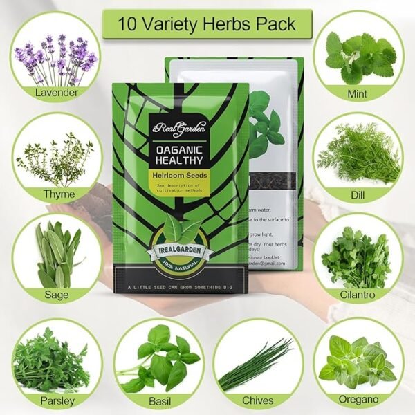 Herb Garden Kit Indoor Herb Garden Starter Kit - 10 Variety Herbs Kitchen Window Herb Garden Planter Indoor & Outdoor Growing Kit for Windowsill Countertop - Unique Gardening Gift for Women Men - Image 2