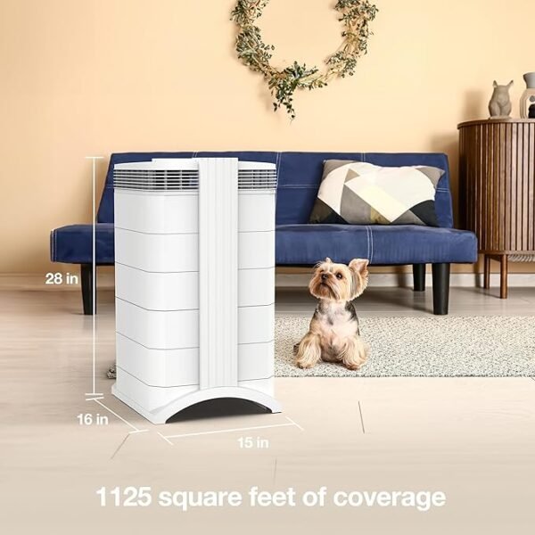 IQAir GC MultiGas XE Air Purifier – Smart MultiGas Filtration for Rooms up to 1125 sq ft - Chemicals, Odors, VOCs, and Particles, Swiss Made, WiFi Enabled - Image 3