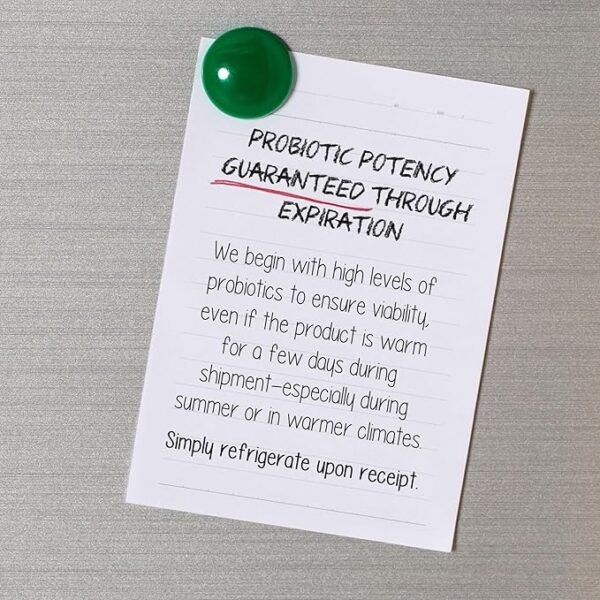 500 Billion CFU Probiotic - Image 3