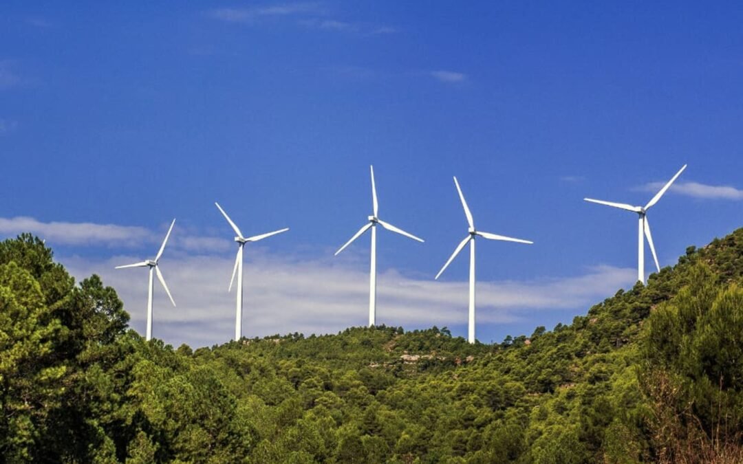Whole-Home Backup Generators, Large Solar Power Kits, Wind/Hydro Energy Solutions